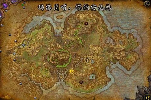 魔獸6.2寵物對戰(zhàn)：塔納安的小魔星成就個(gè)人心得
