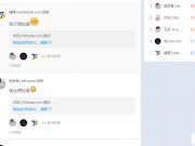 一個影響力大、實戰(zhàn)、干貨的SEO案例