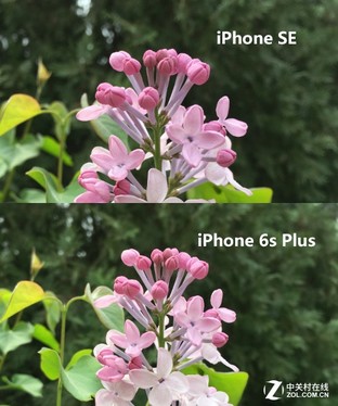 iPhone SE買(mǎi)前必修課 這些常識(shí)你知道嗎 