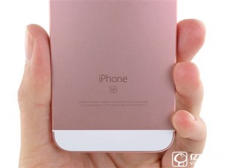 iPhone SE命運(yùn)如此悲催：被蘋果坑慘