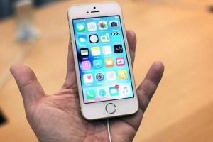 禍起蕭墻！低價(jià)iPhone SE拖累高端iPhone6s銷量