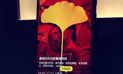 2016年四款熱門指紋識(shí)別手機(jī)推薦