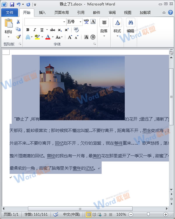 怎么把Word的內(nèi)容以圖片格式插入到Excel2010中？