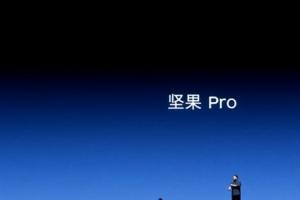 堅(jiān)果Pro正式亮相！你還想怎么樣？