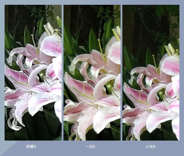 拍照誰(shuí)更強(qiáng)？一加5 、小米6、榮耀9拍照樣張對(duì)比