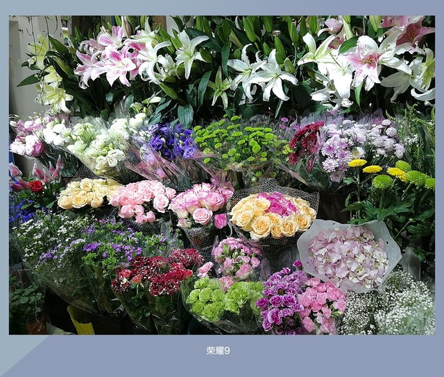 拍照誰(shuí)更強(qiáng)？一加5 、小米6、榮耀9拍照樣張對(duì)比