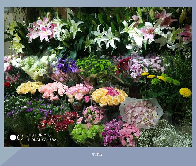 拍照誰(shuí)更強(qiáng)？一加5 、小米6、榮耀9拍照樣張對(duì)比