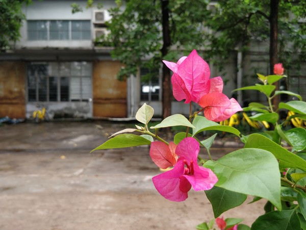 一加5評(píng)測：硬件無槽點(diǎn)中輕度使用兩天沒問題