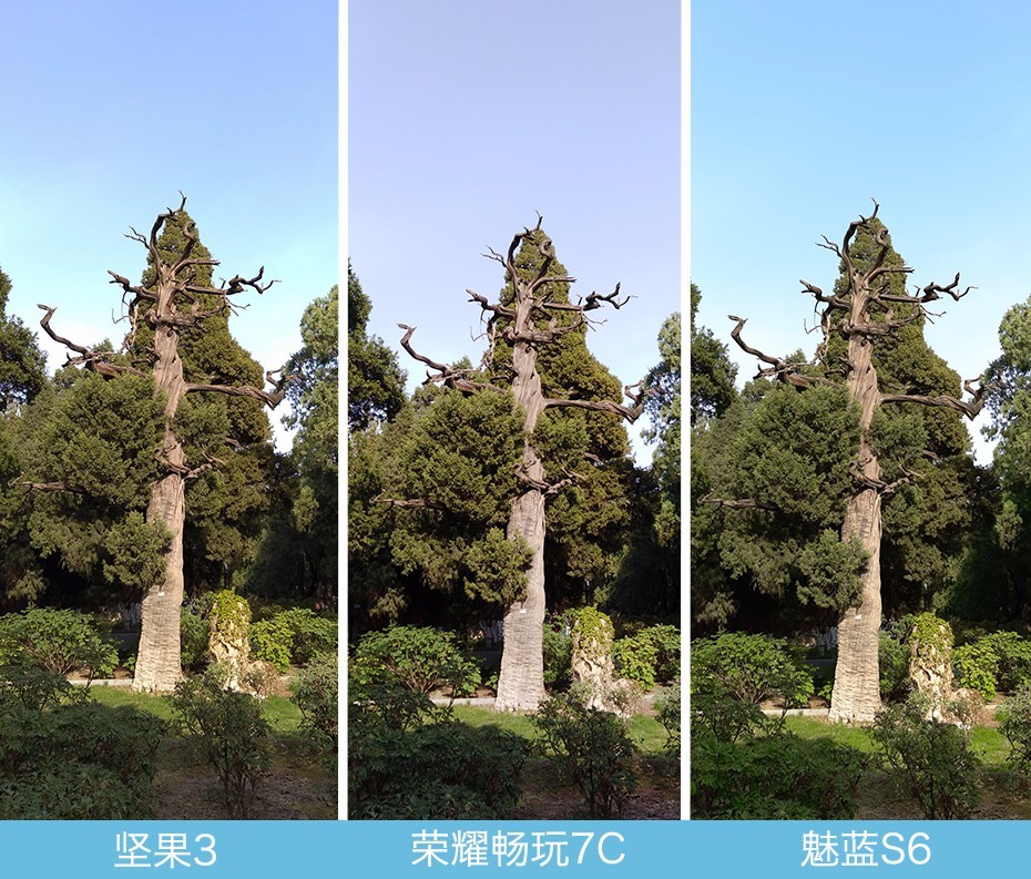 堅(jiān)果3、榮耀暢玩7C、魅藍(lán)S6拍照樣張對(duì)比 千元機(jī)拍照哪個(gè)好?