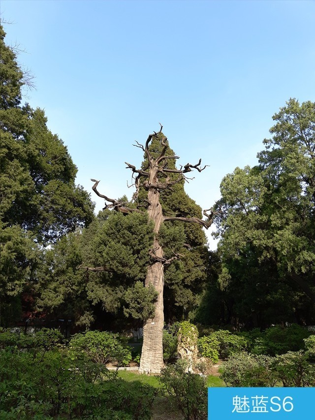 堅(jiān)果3、榮耀暢玩7C、魅藍(lán)S6拍照樣張對(duì)比 千元機(jī)拍照哪個(gè)好?