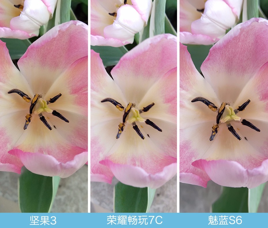 堅(jiān)果3、榮耀暢玩7C、魅藍(lán)S6拍照樣張對(duì)比 千元機(jī)拍照哪個(gè)好?