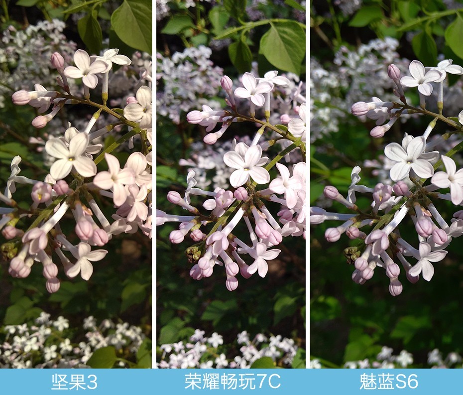 堅(jiān)果3、榮耀暢玩7C、魅藍(lán)S6拍照樣張對(duì)比 千元機(jī)拍照哪個(gè)好?