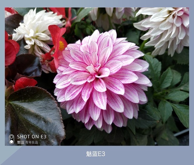 360N7、魅藍E3、紅米Note5對比評測 千元強機你選誰？