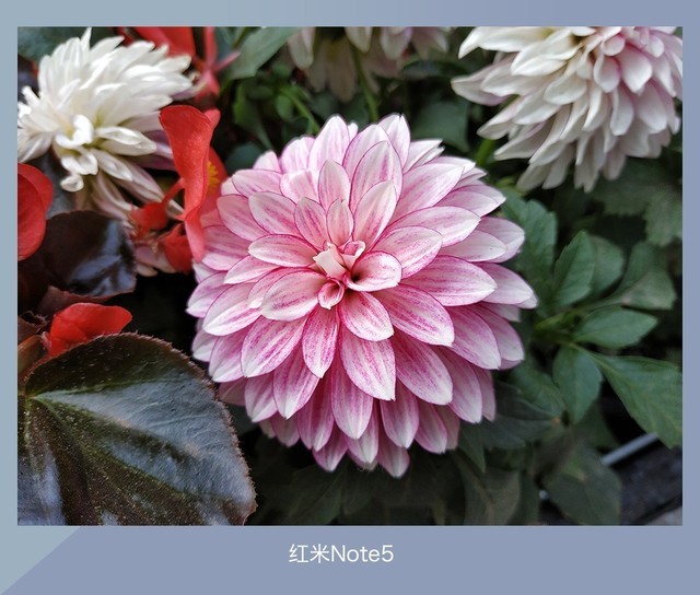 360N7、魅藍E3、紅米Note5對比評測 千元強機你選誰？