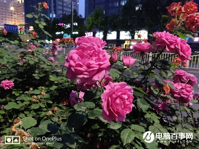 一加手機(jī)6怎么樣 值得買嗎？一加6評(píng)測(cè)