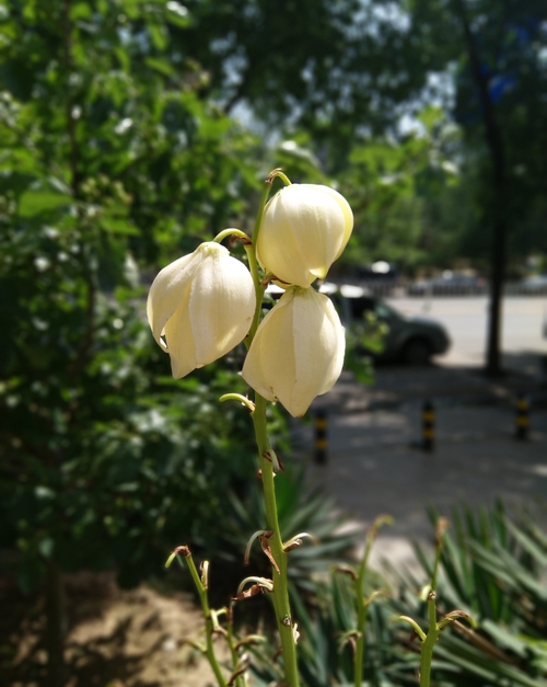當(dāng)信仰有了性?xún)r(jià)比 諾基亞X6全面評(píng)測(cè)