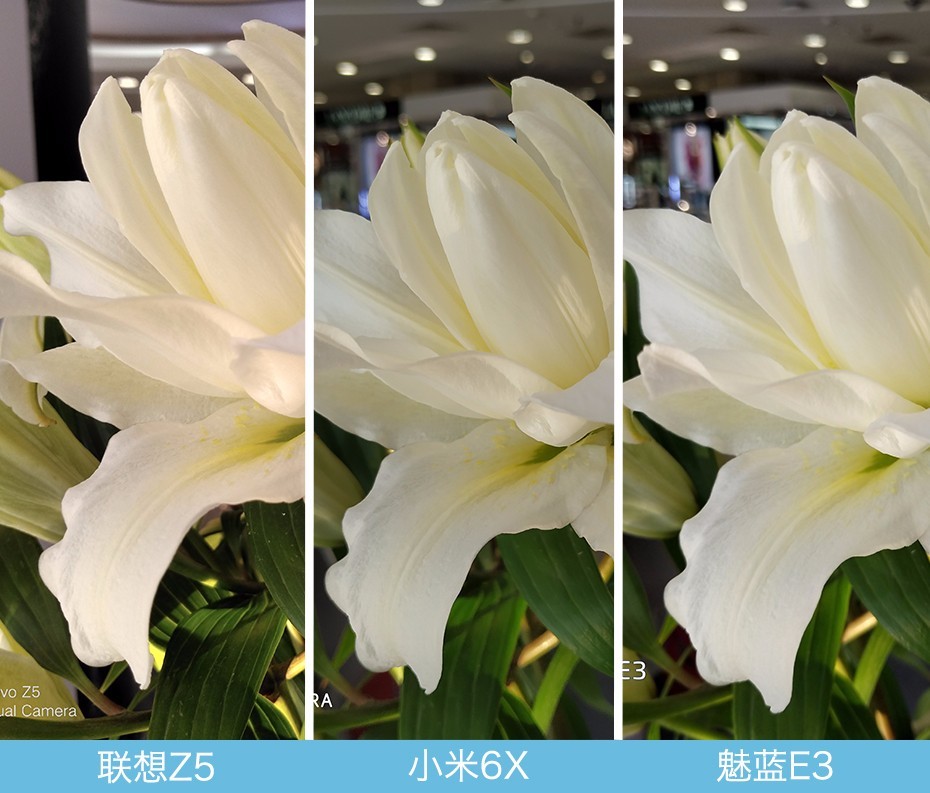 聯(lián)想Z5、小米6X、魅藍(lán)E3拍照對(duì)比評(píng)測(cè) 千元機(jī)相機(jī)對(duì)決