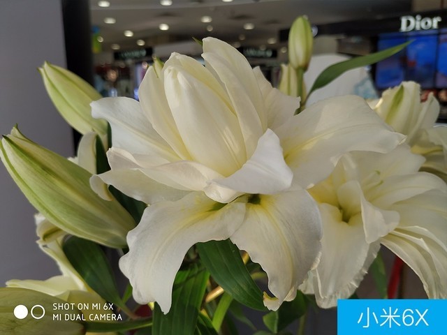 聯(lián)想Z5、小米6X、魅藍(lán)E3拍照對(duì)比評(píng)測(cè) 千元機(jī)相機(jī)對(duì)決