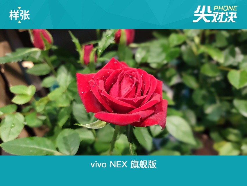vivo NEX和iPhone X哪個好 蘋果iPhoneX對比vivoNex區(qū)別