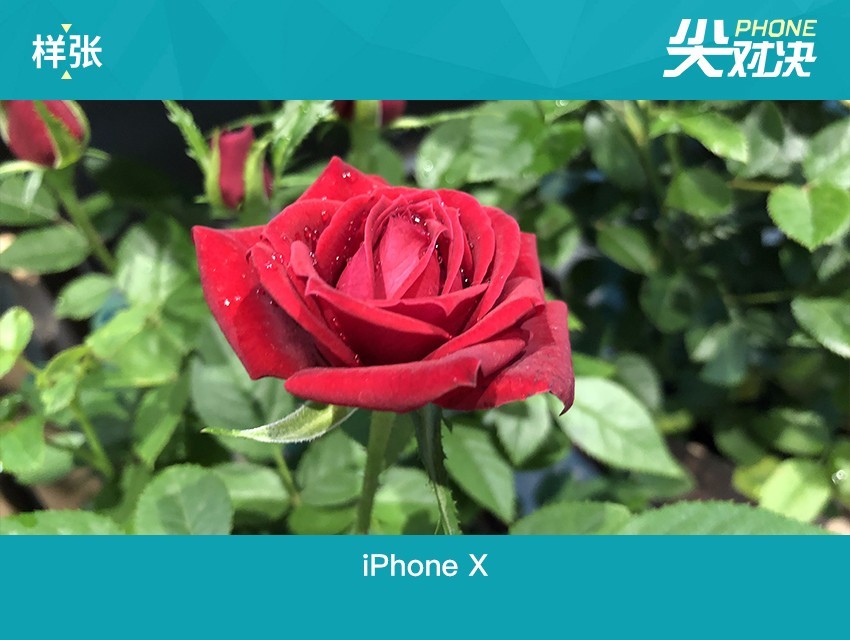vivo NEX和iPhone X哪個好 蘋果iPhoneX對比vivoNex區(qū)別