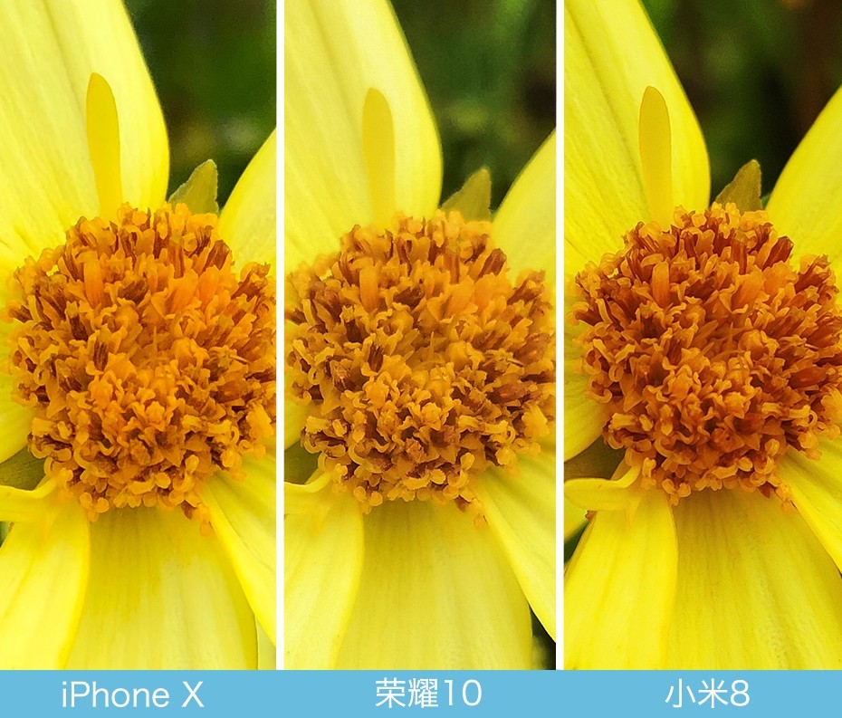 iPhone X、榮耀10、小米8拍照對(duì)比評(píng)測(cè) 蘋果秒殺一切？