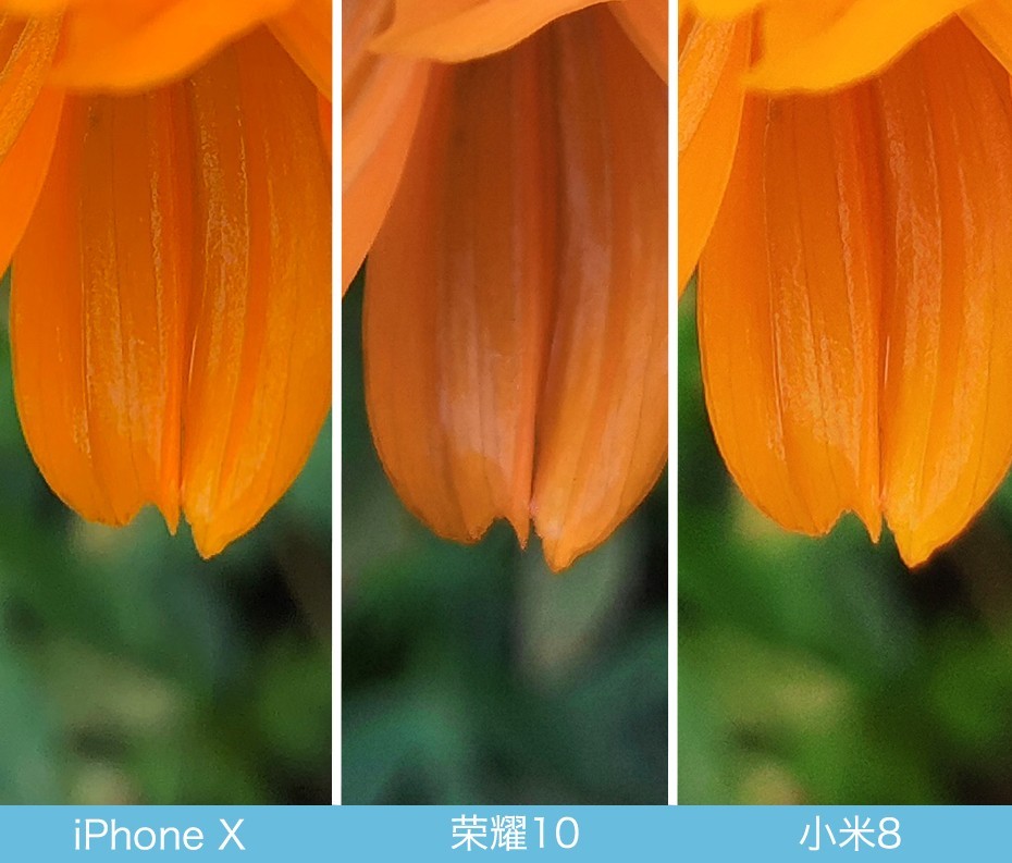 iPhone X、榮耀10、小米8拍照對(duì)比評(píng)測(cè) 蘋果秒殺一切？