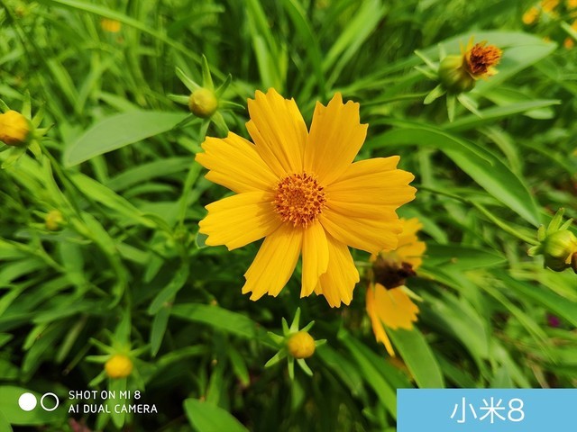 魅族16、小米8、榮耀Note10拍照對比評(píng)測 國產(chǎn)旗艦相機(jī)對決
