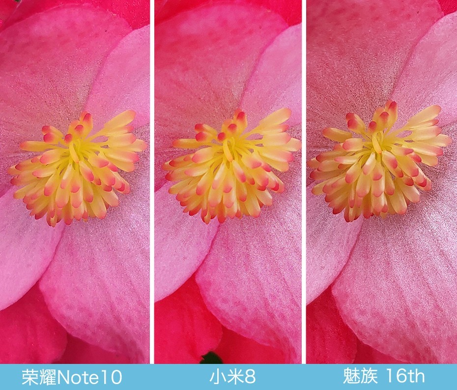 魅族16、小米8、榮耀Note10拍照對比評(píng)測 國產(chǎn)旗艦相機(jī)對決