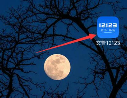 交管12123檢驗(yàn)合格標(biāo)志電子版在哪里查看？